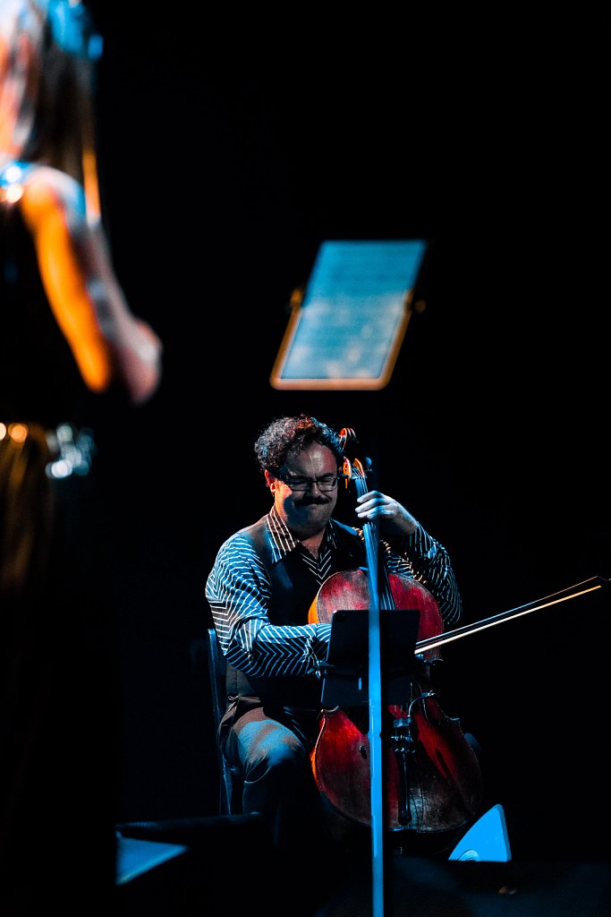 Vitamin String Quartet