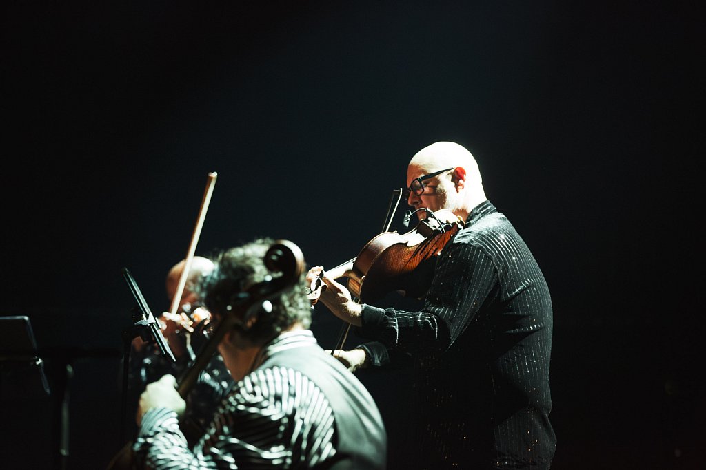 Vitamin-String-Quartet-61.jpg