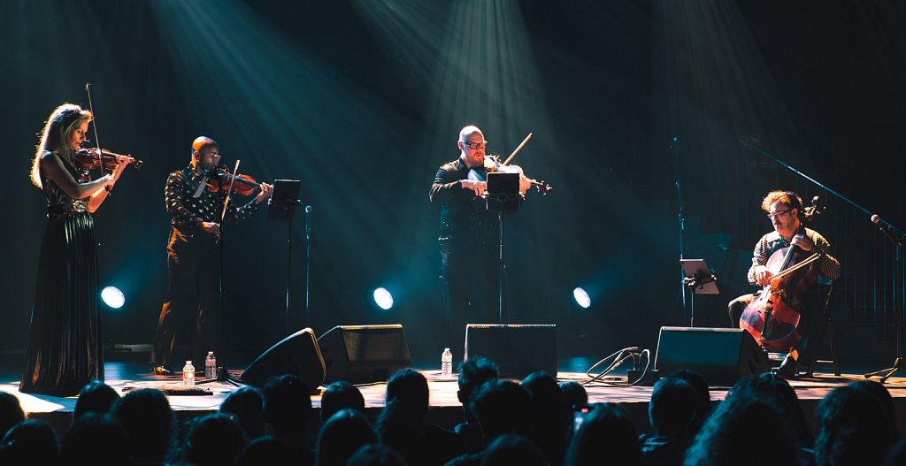 Vitamin-String-Quartet-72.jpg
